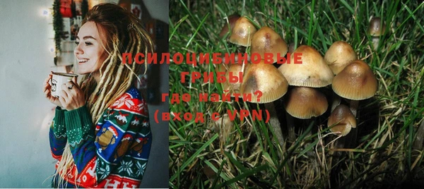 mix Абаза