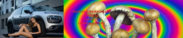 mix Абаза