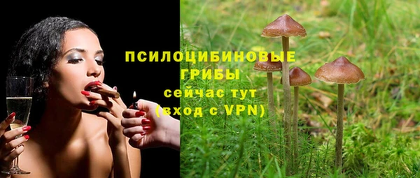 mix Абаза