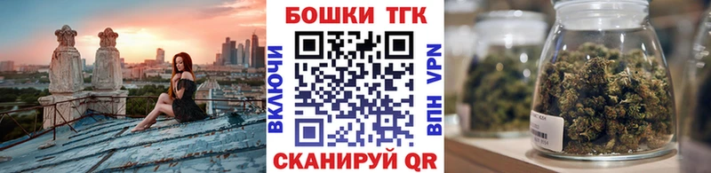где купить наркоту  Петров Вал  Шишки марихуана сатива 